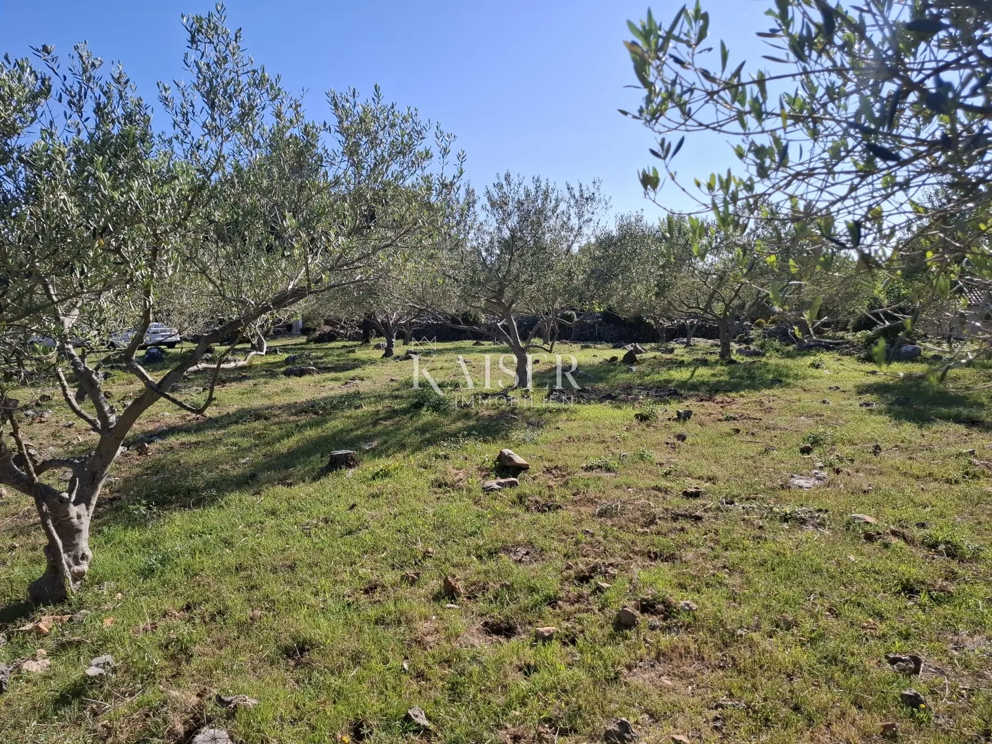 otok cres, punta križa, kuća 30 m2 sa 8.000 m2 terena - slika 4