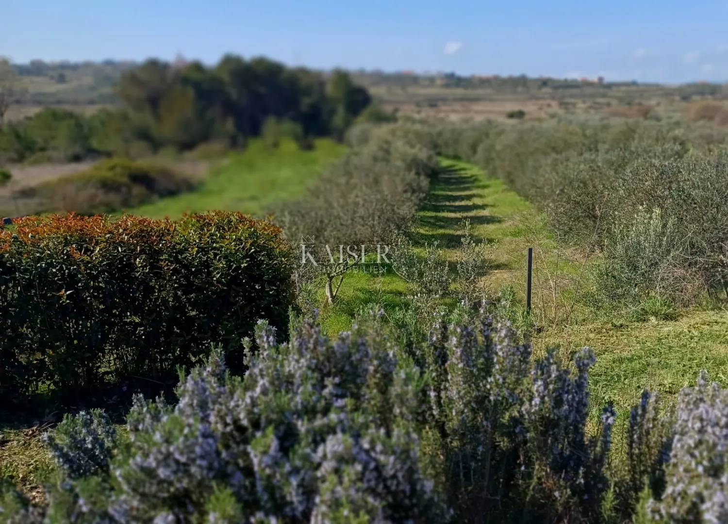 zadar -luksuzna vila s bazenom u oazi zelenila - slika 23