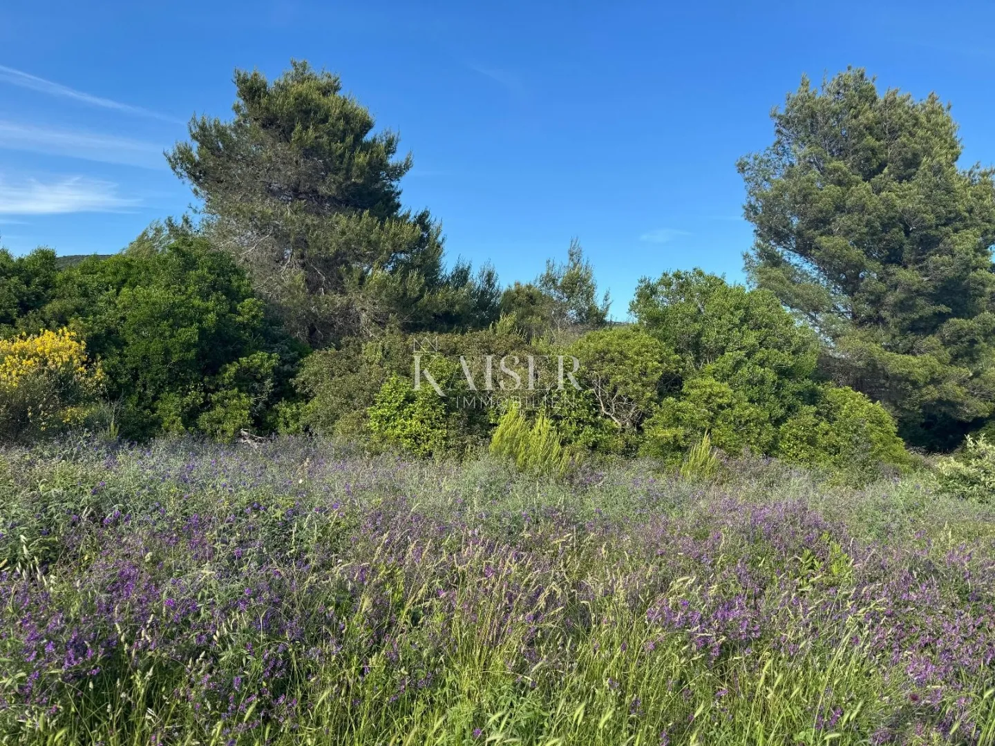 zadar, sveti petar n/m, 2400 m2. prvi red do mora - slika 4