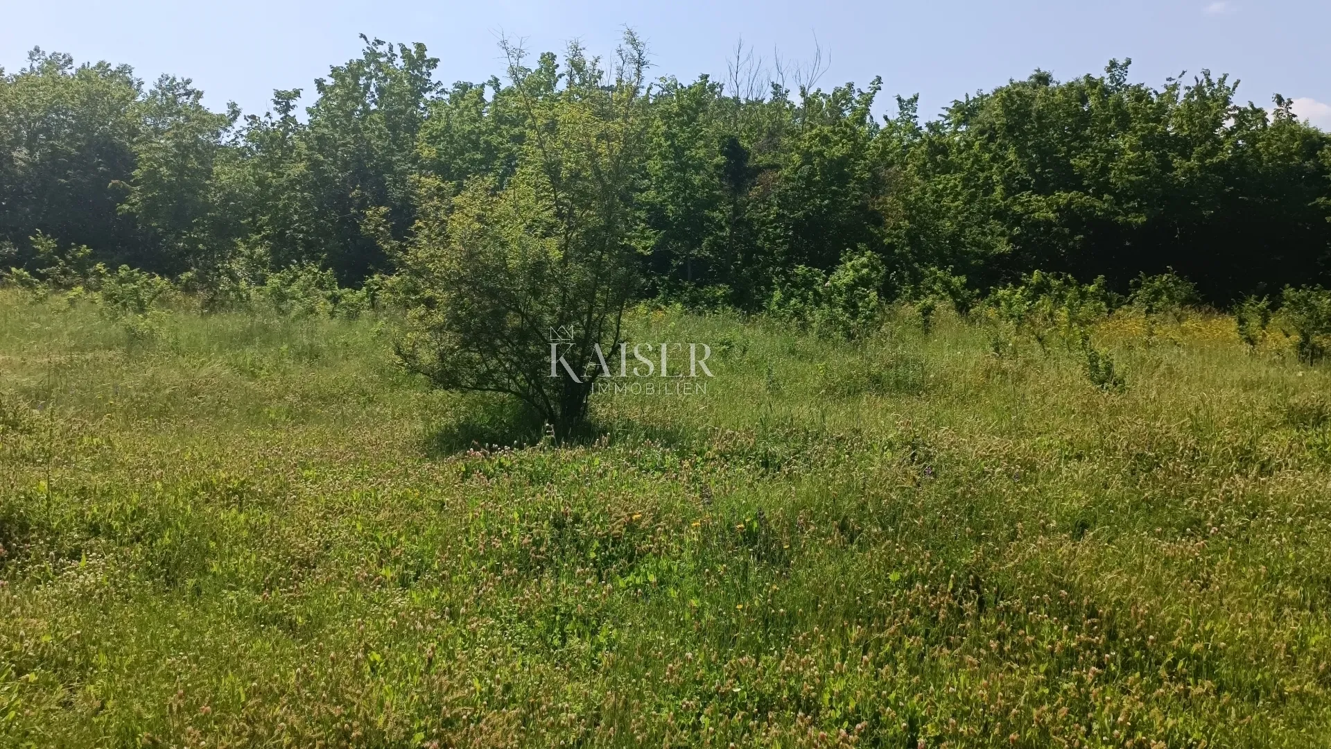 istra - barban - građevinsko zemljište s dozvolom, 1040 m2 - slika 4