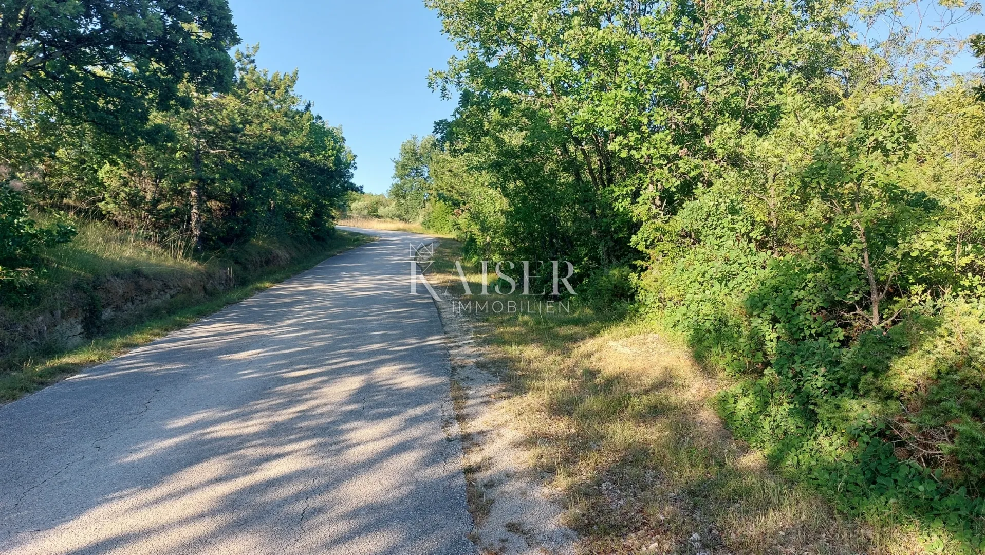 istra, okolica buzeta - poljoprivredno zemljište 2,5ha; mogućnost gradnje - slika 6