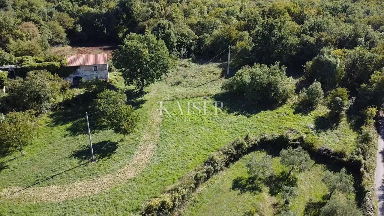 istra, oprtalj - građevinsko zemljište 4500 m2 s dvije kamene kuće - slika 12