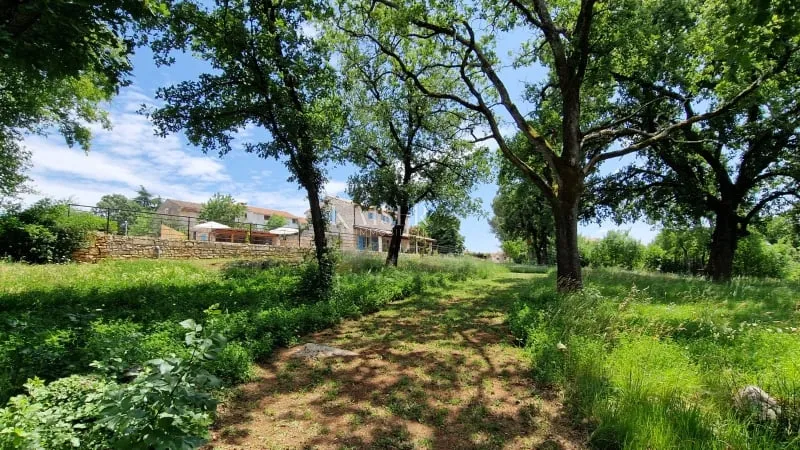 istra - lovreč, prilika kamena kuća sa okućnicom 7000 m2 - slika 9