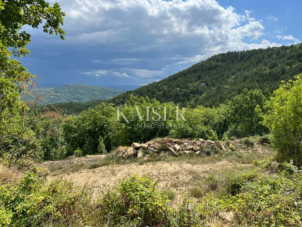 buzet, salež – predivno poljoprivredno zemljište od 33.000 m2 s ostacima velike kuće - slika 4