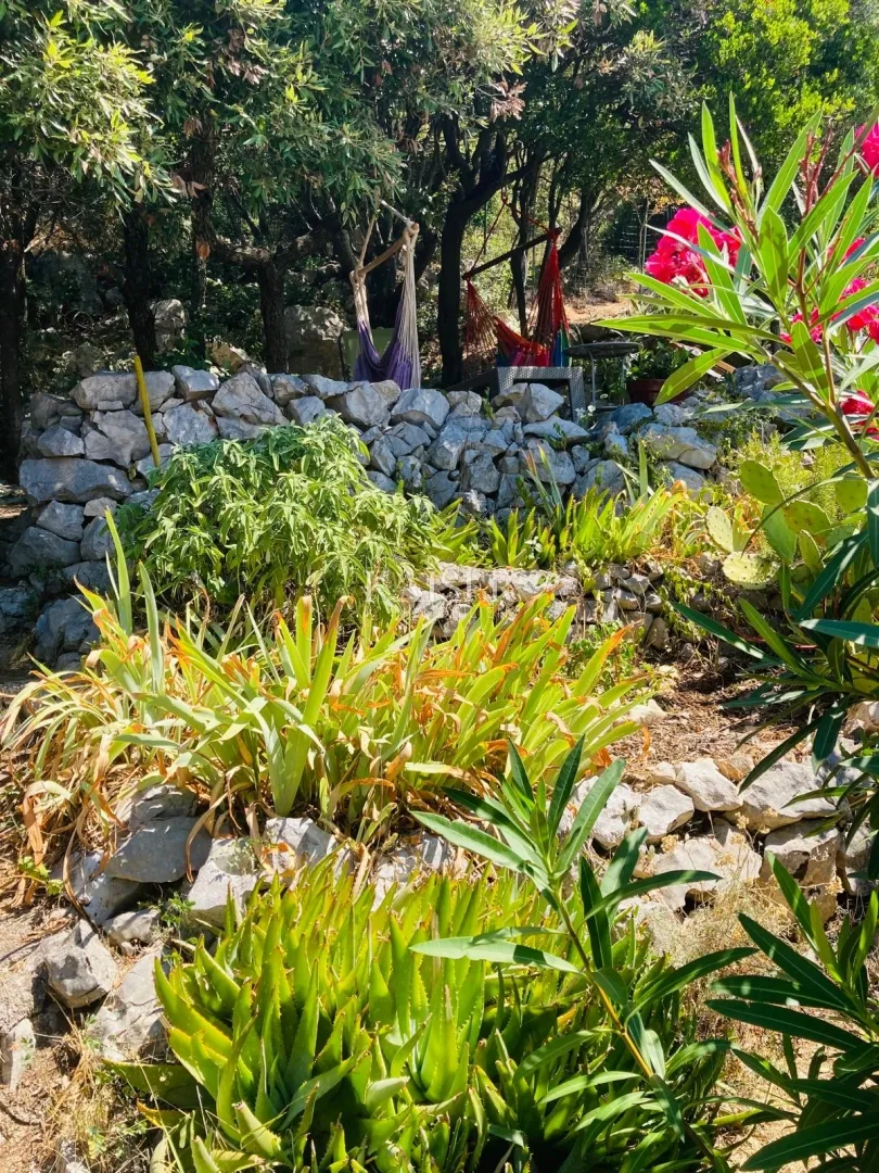 otok cres - zaglav - apartman s pogledom na more - slika 23