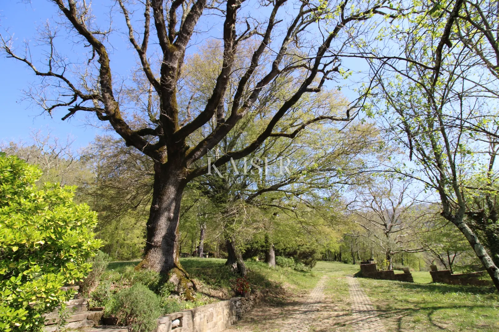 istra - buzet, kuća sa imanjem na 20000 m2 - slika 4