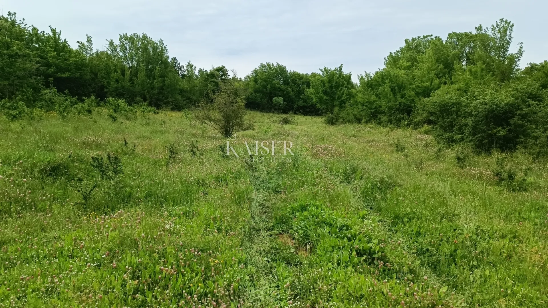 istra - barban - građevinsko zemljište, 970 m2 - slika 2