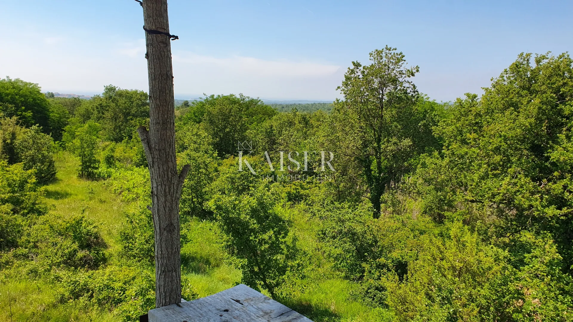 istra - kaštelir, poljoprivredno zemljište, šuma 8740 m2 - slika 5