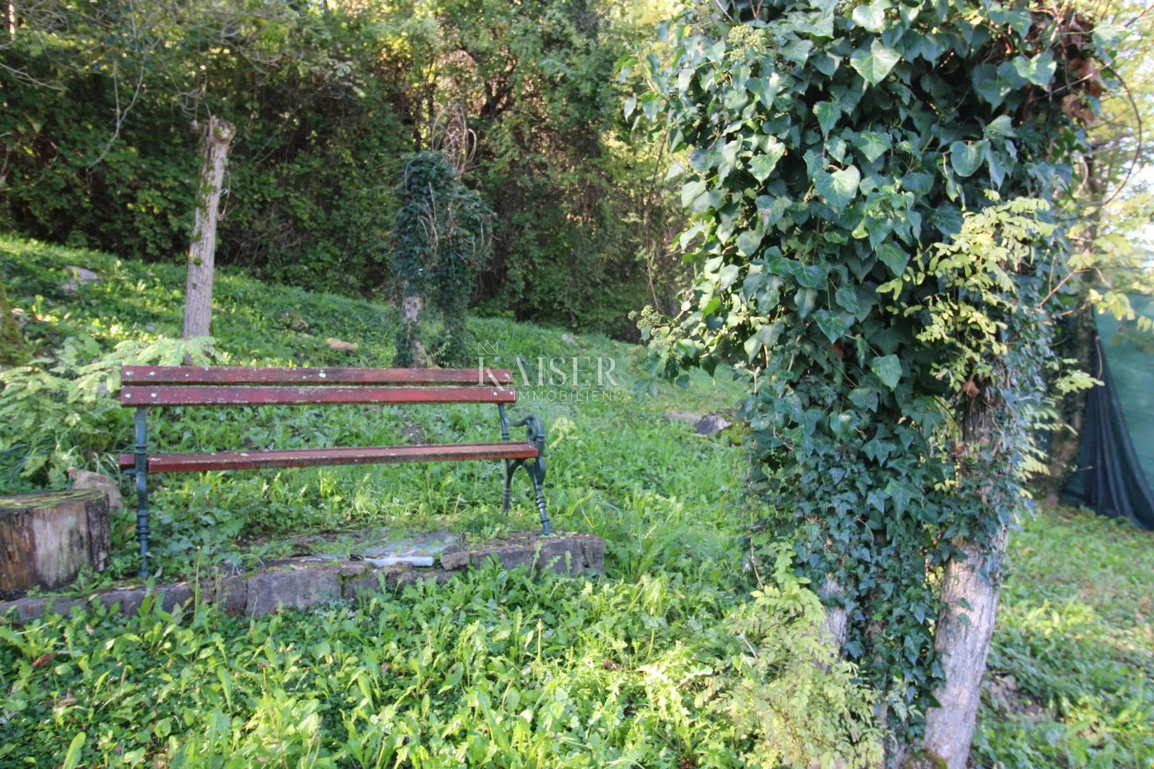 istra - motovun, građevinsko zemljište pogled motovun - slika 6