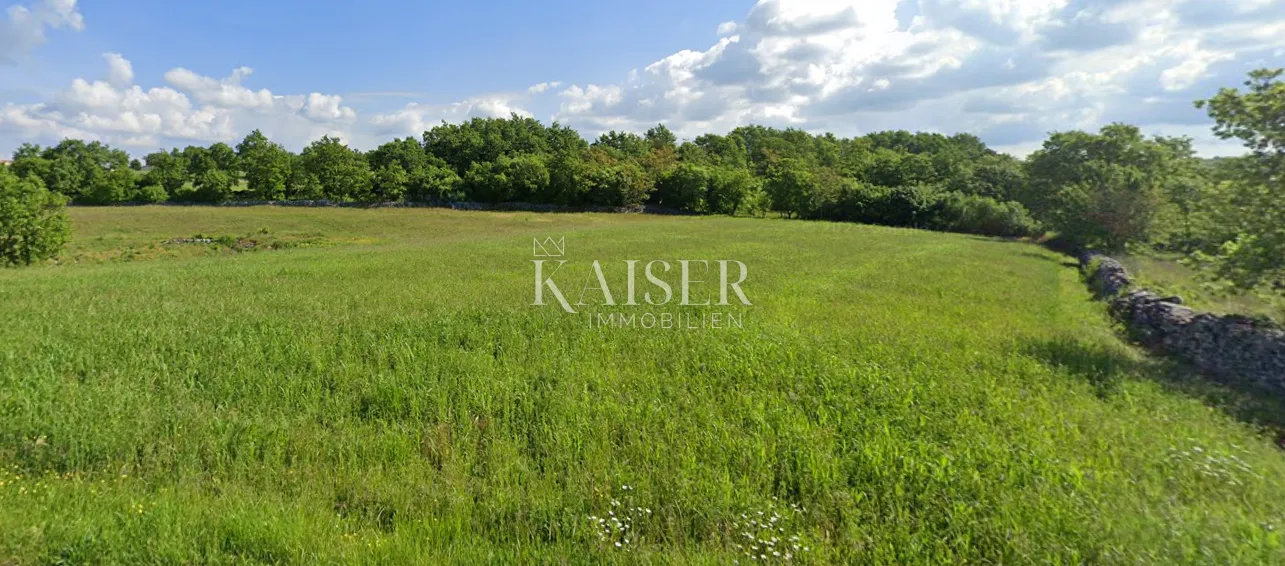 istra, sveti petar u šumi- poljoprivredno zemljište 10.000m2 blizu građevinske zone - slika 5