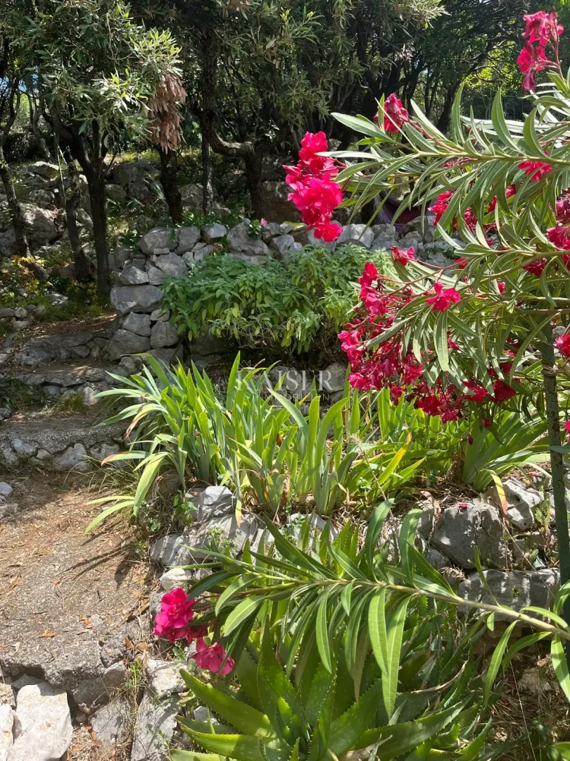 otok cres - zaglav - apartman s pogledom na more - slika 7