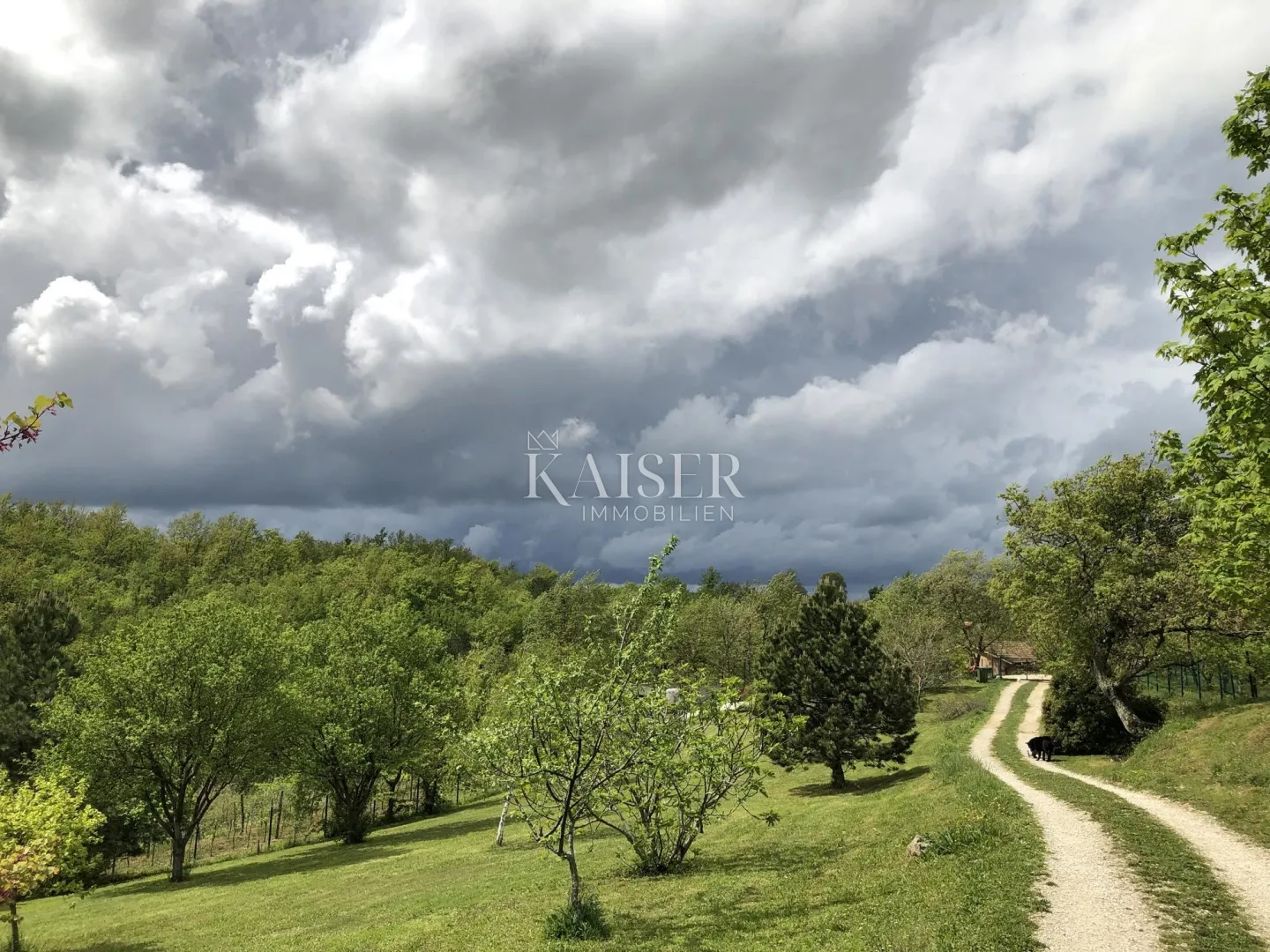 istra, gračišće- prekrasna istarska kuća, stancija, okružena prirodom i vinogradima - slika 4