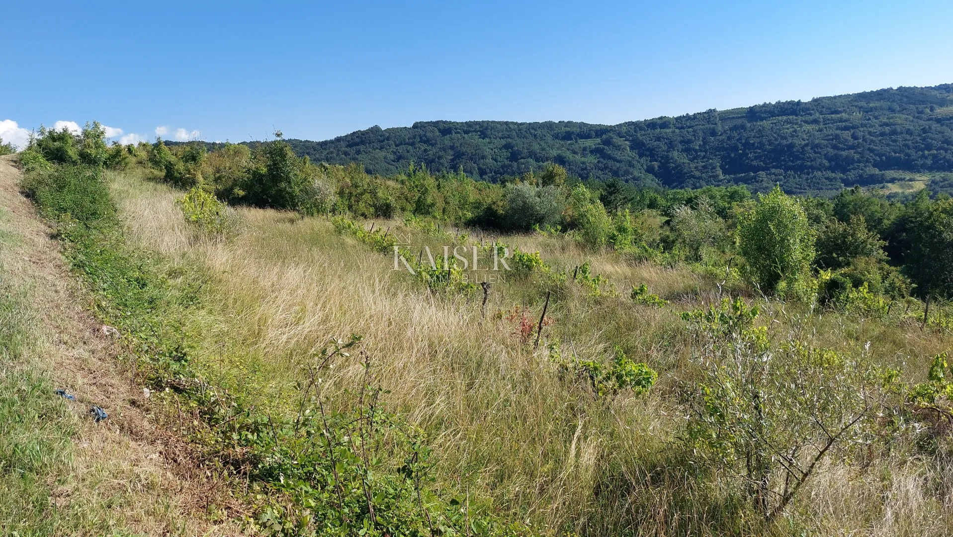 istra, motovun- građevinsko zemljište s predivnim panoramskim pogledom - slika 8