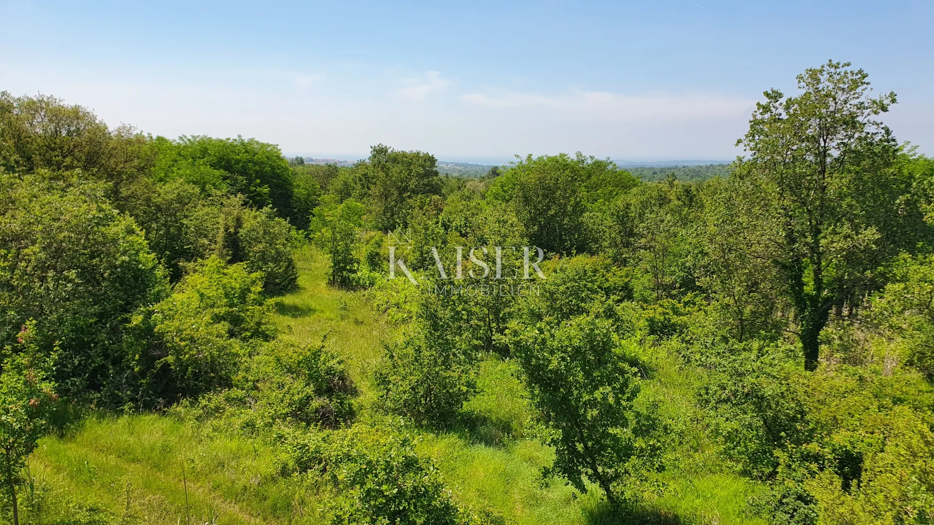 istra - kaštelir, poljoprivredno zemljište, šuma 8740 m2 - slika 4