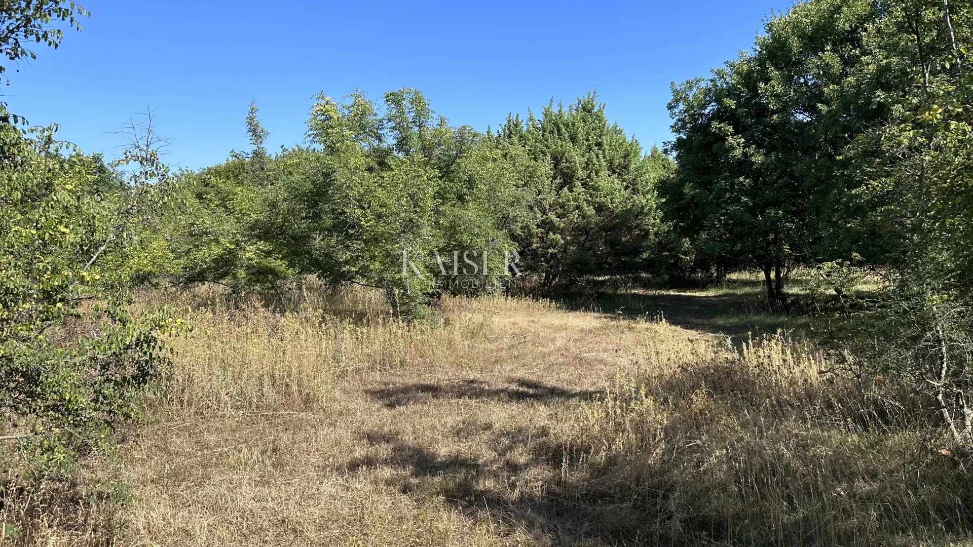otok krk, pinezići - poljoprivredno zemljište 2600 m2 - slika 2