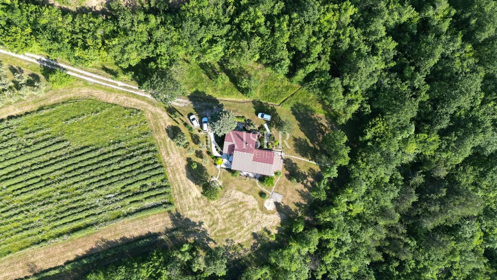 istra, lupoglav - kuća u prirodi s velikom okućnicom - slika 4