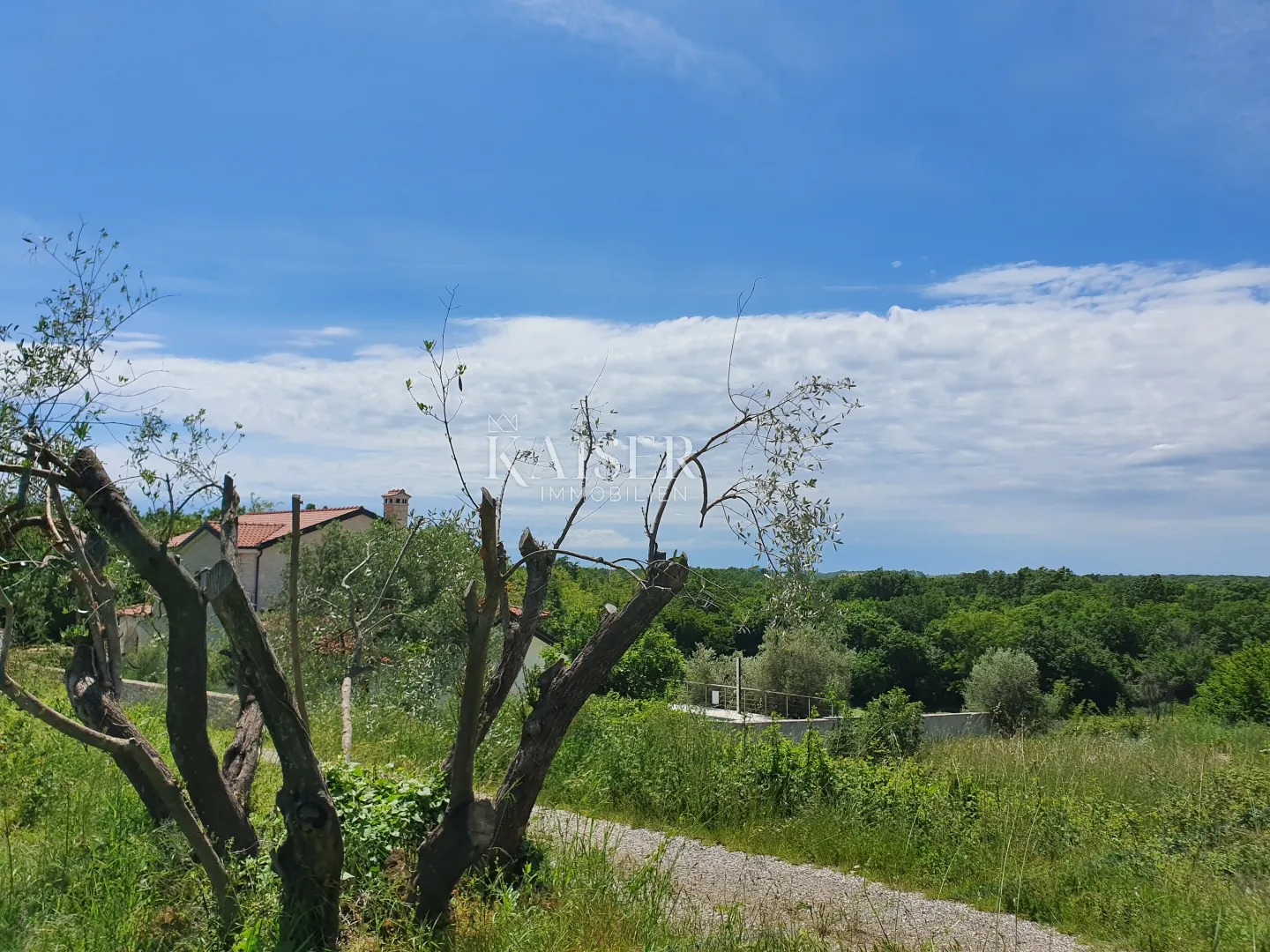 istra - lovreč, prekrasno građevinsko zemljište 871m2 - slika 5