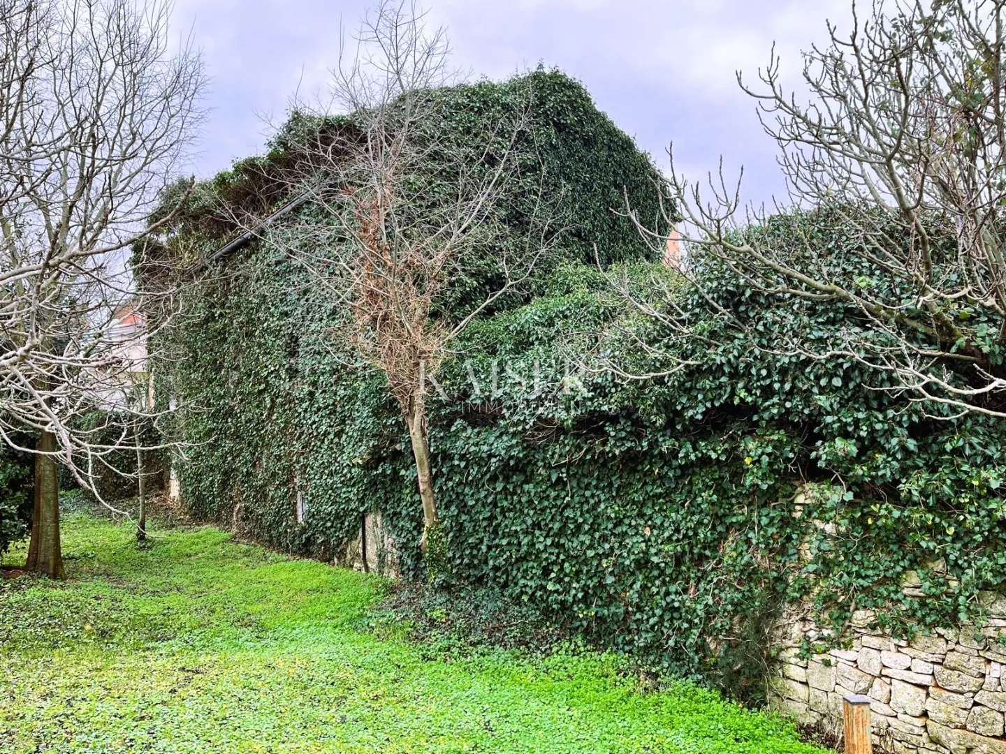 istra, bale građevinsko zemljište 7801 m2 - investicija za izgradnju luksuznih vila - slika 2