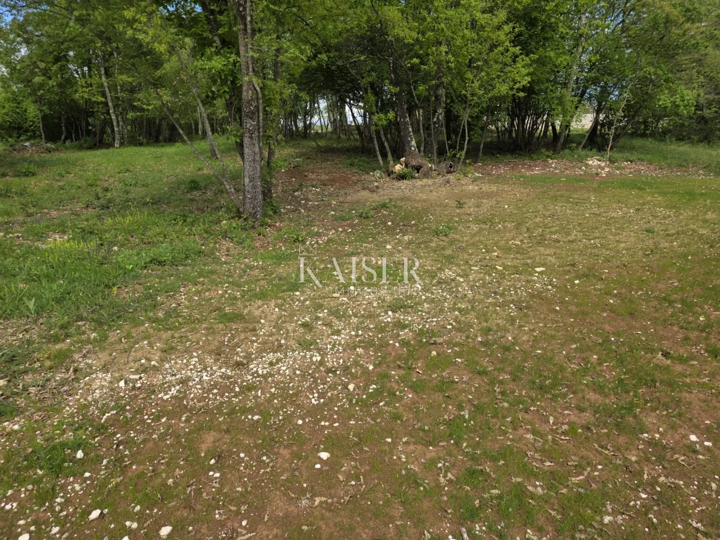 istra, pazin - građevinsko zemljište u prirodi - slika 4