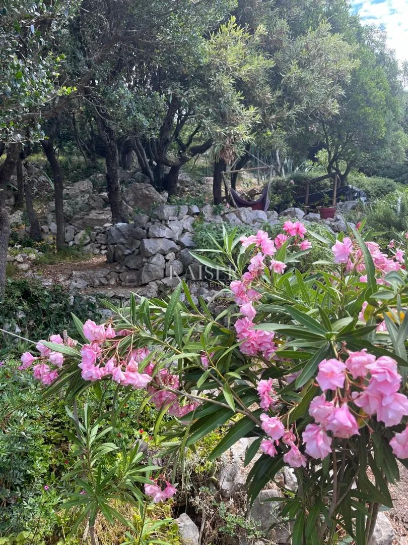 otok cres - zaglav - apartman s pogledom na more - slika 10