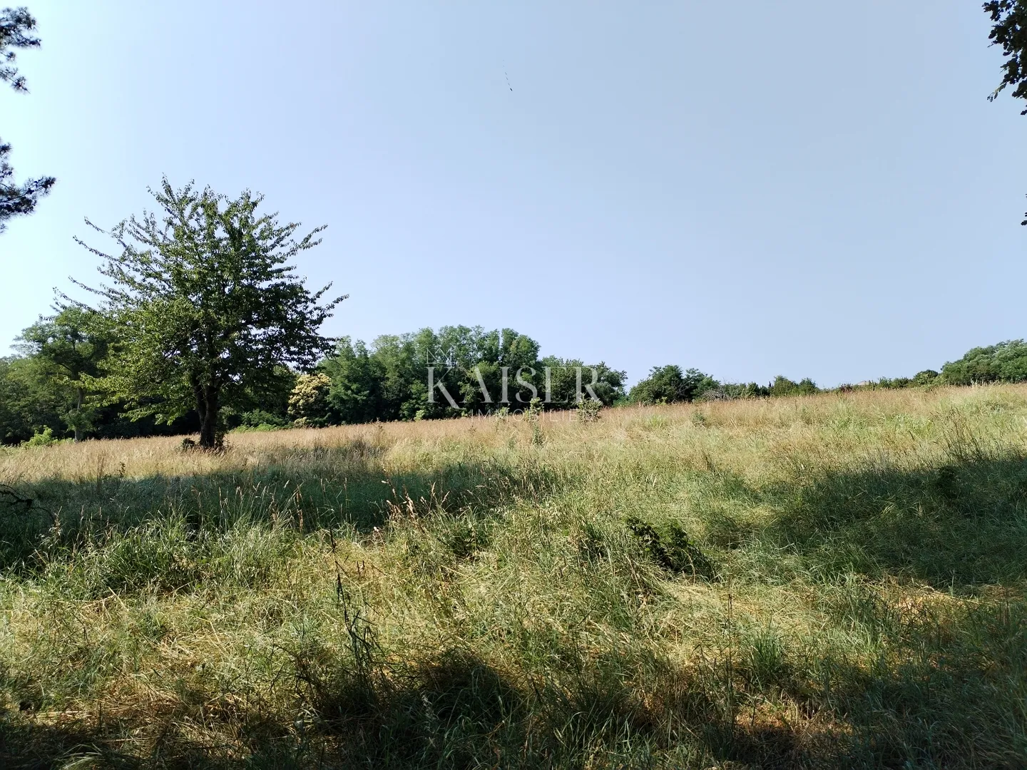 Istra, Buzet, Sveti Donat, poljoprivredno zemljište 36512 m2