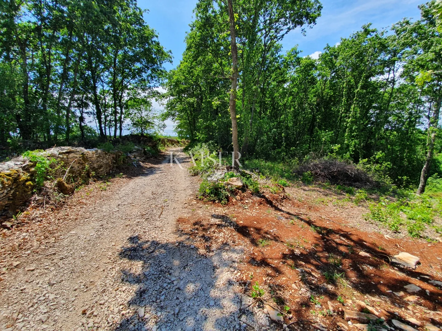 Istra - Lovreč, prekrasno građevinsko zemljište 1006m2 - Sveti Lovreč Pazenatički