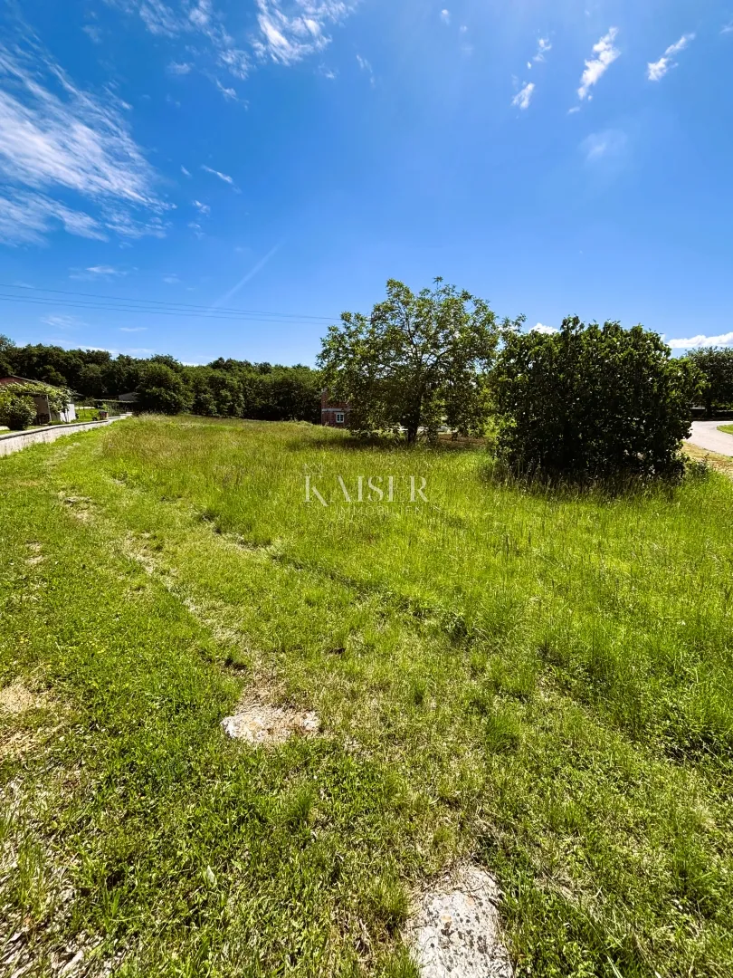 istra, okolica tinjana - građevinsko zemljište 2431m2 - slika 2