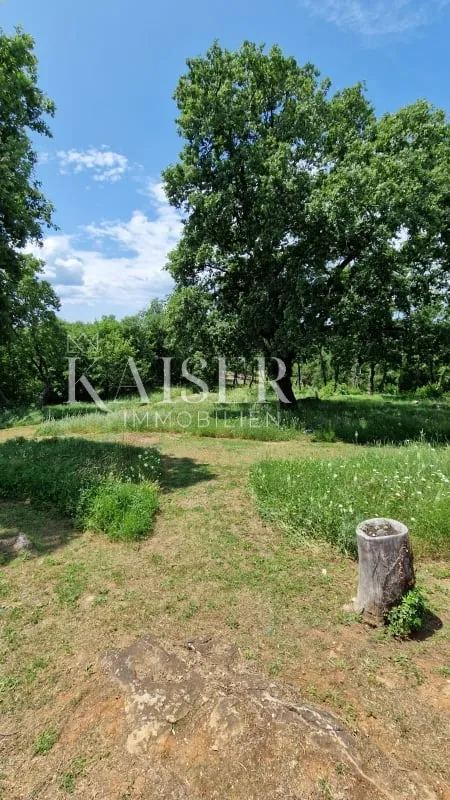 istra - lovreč, prilika kamena kuća sa okućnicom 7000 m2 - slika 26