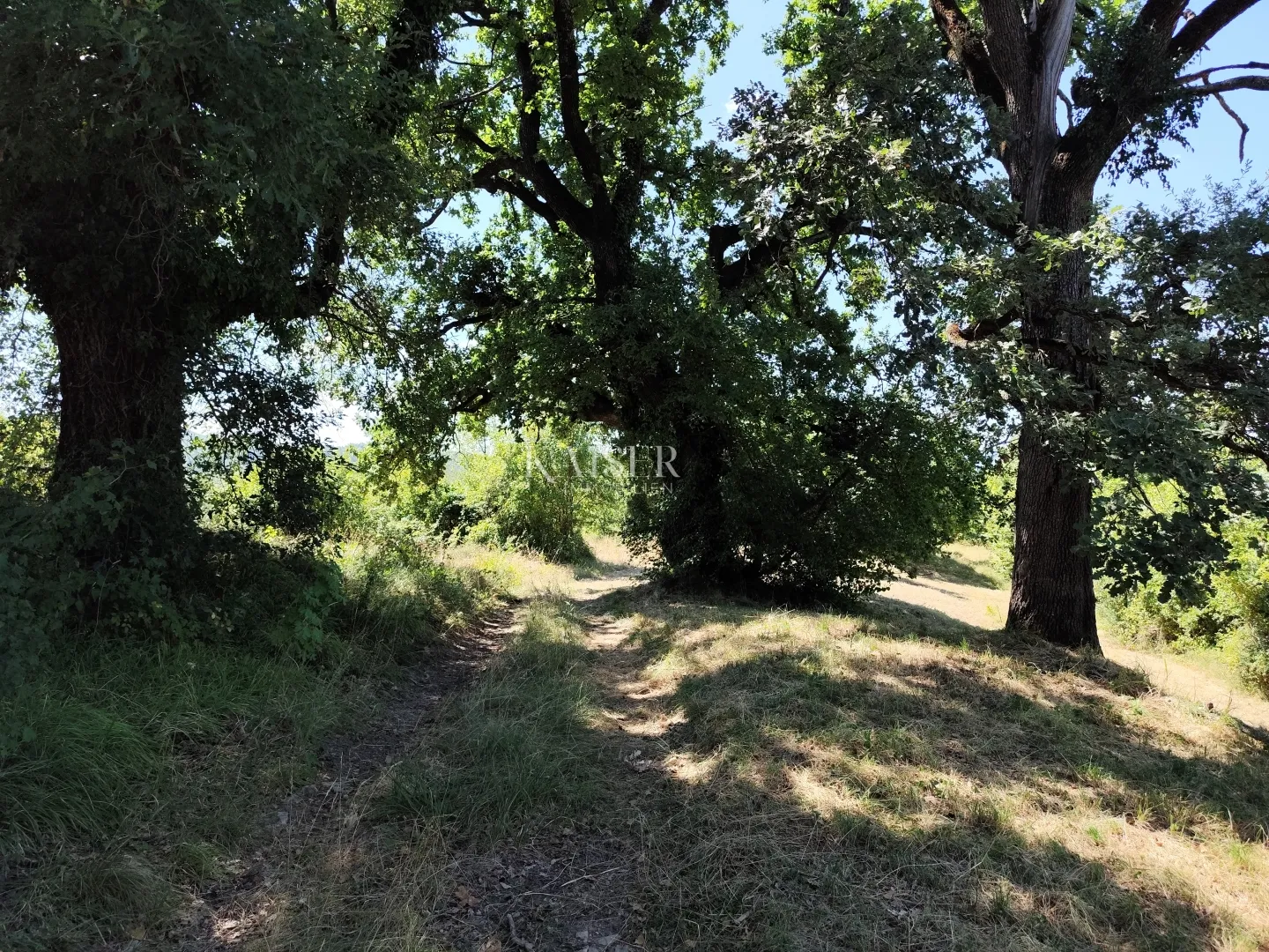 istra, buzet - građevinsko zemljište s pogledom na prirodu - slika 4