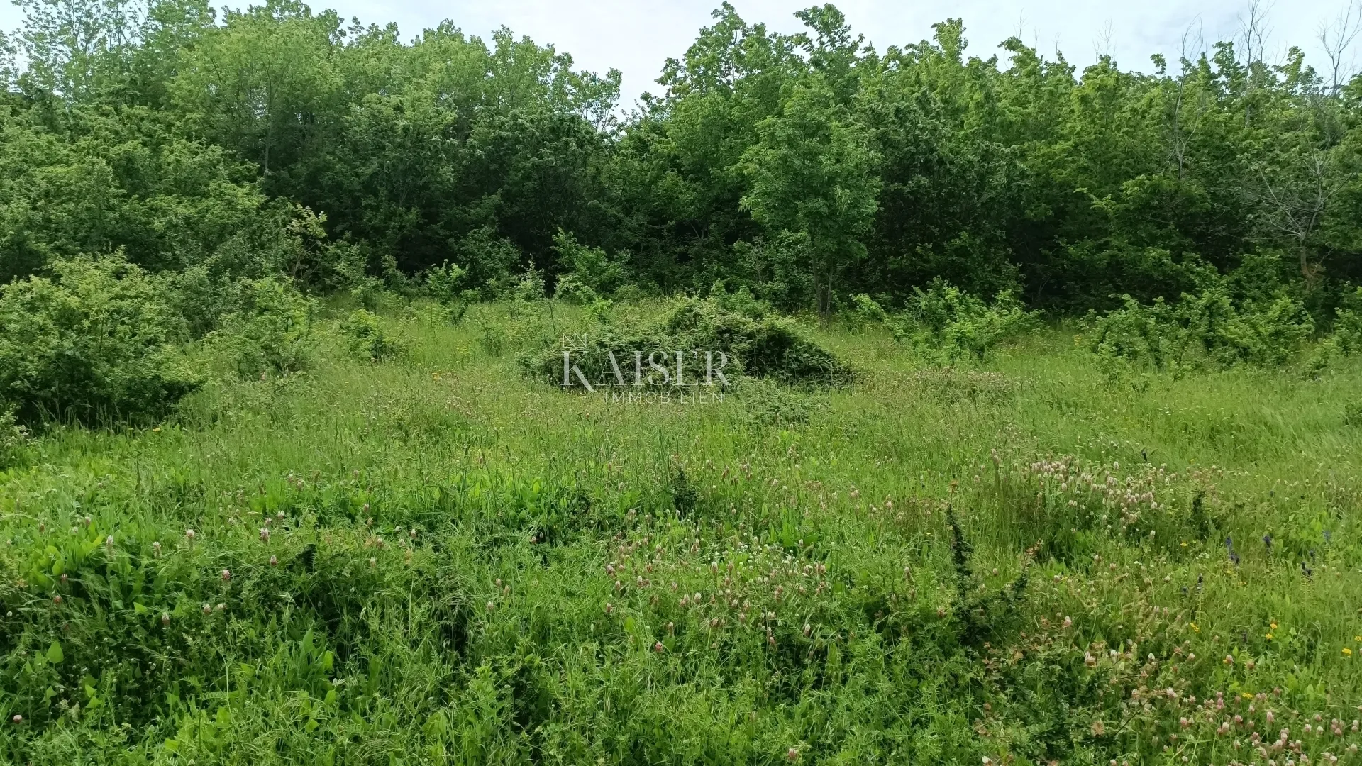 istra - barban - građevinsko zemljište, 970 m2 - slika 4