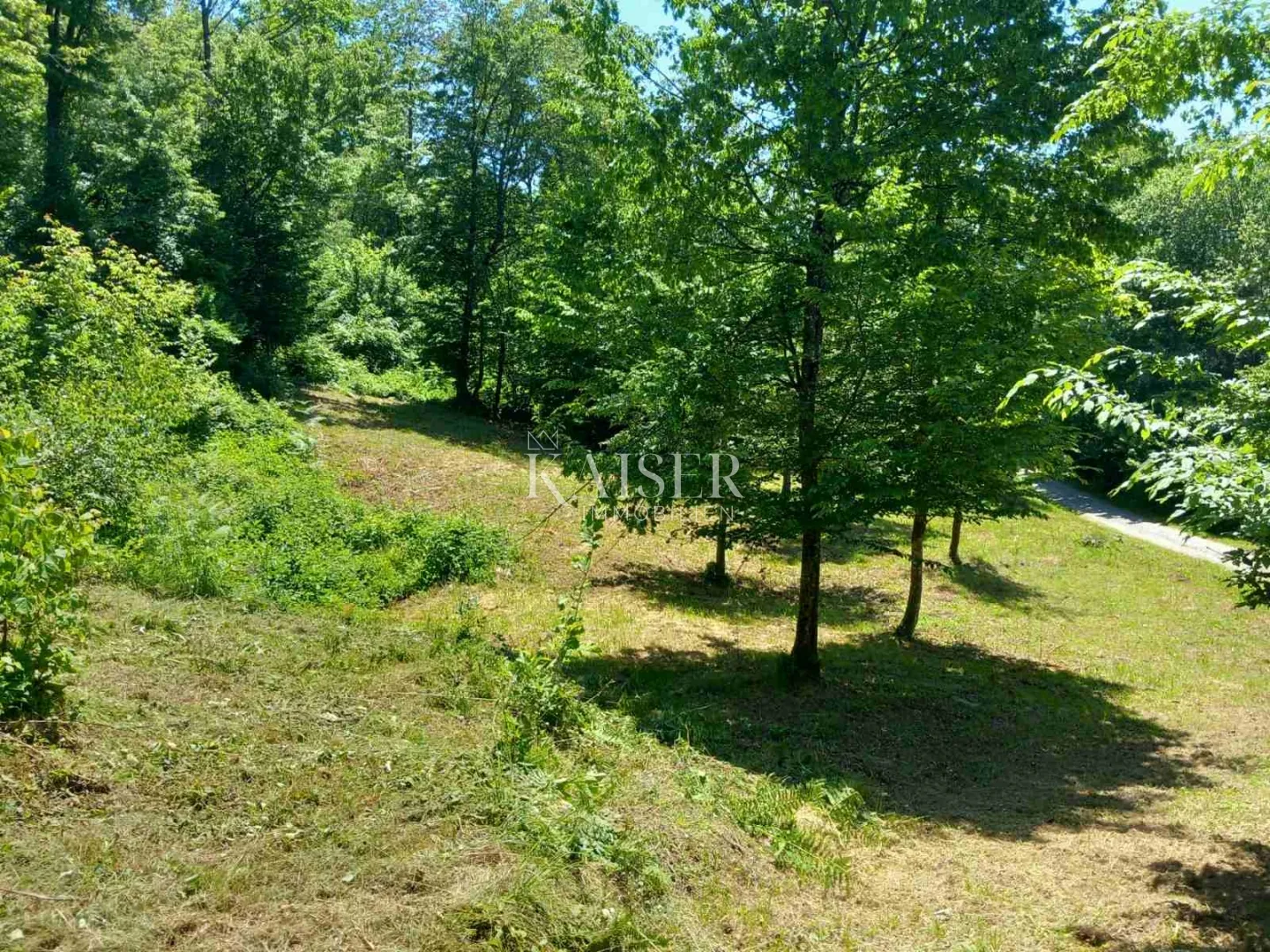 vrbovsko, kamensko, netaknuta priroda, zemljište 7176 m2 - slika 4