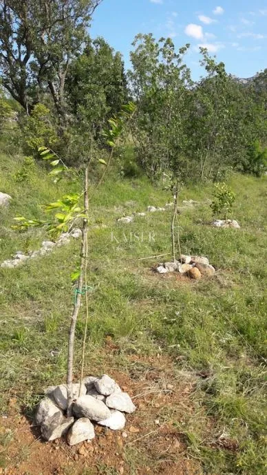 Zadar - Seline : zemljište 1000 m od mora - Seline, Starigrad Paklenica