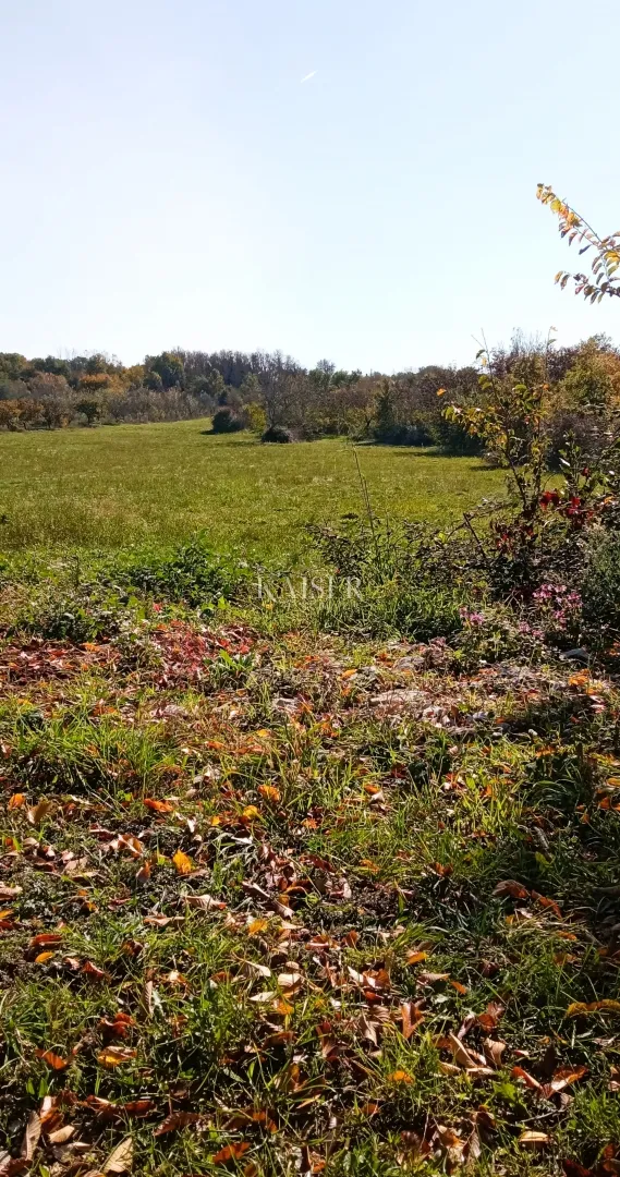 istra, tinjan- poljoprivredno zemljište 15.300m² s voćkama - slika 2