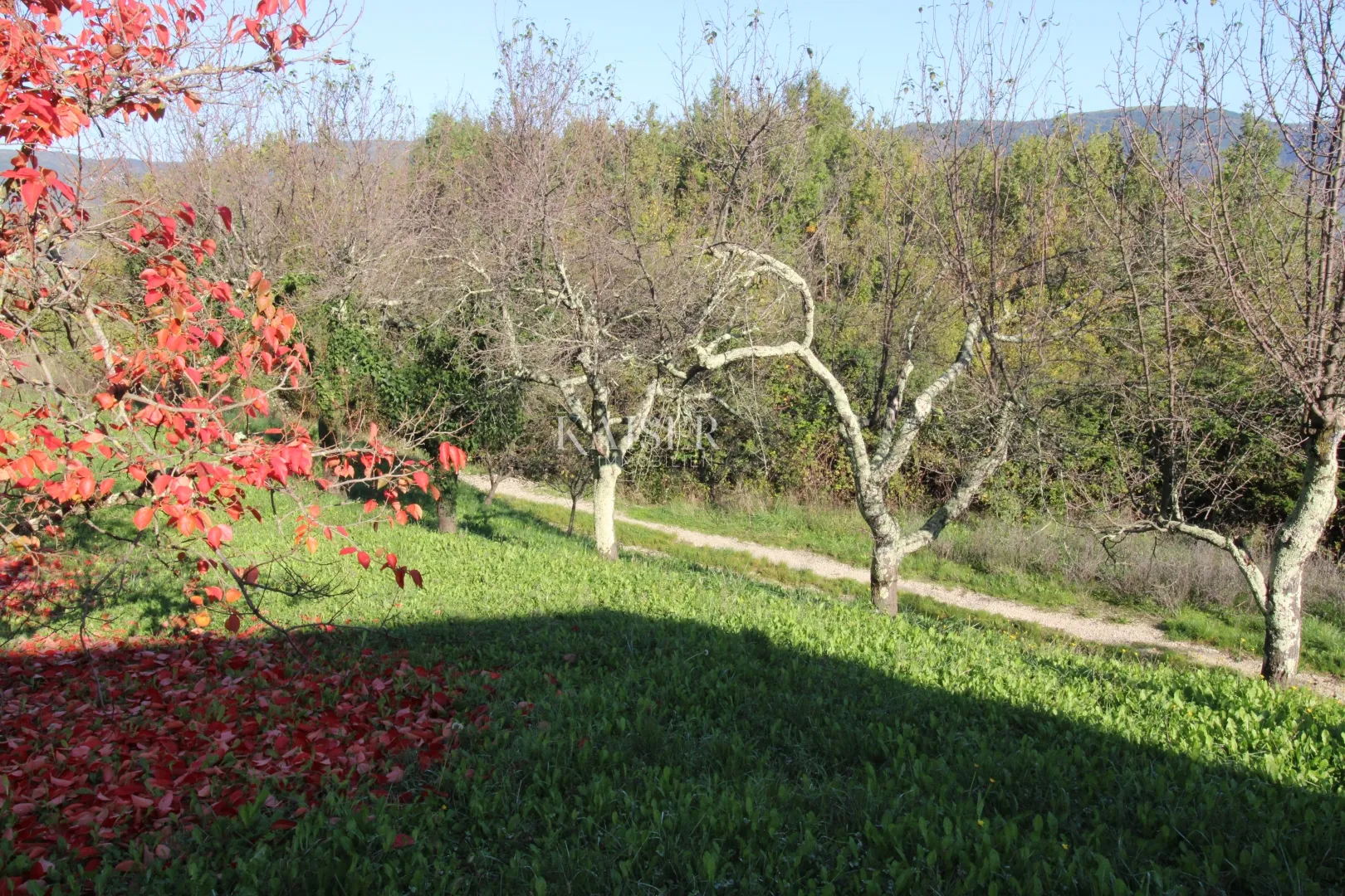 istra - motovun, poljoprivredno zemljište pogled motovun - slika 5