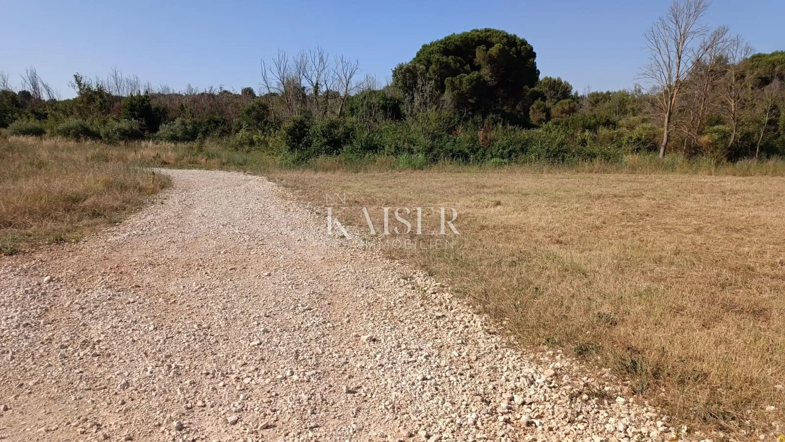 istra, fažana- poljoprivredno zemljište 660m2 samo 50m od mora - slika 4