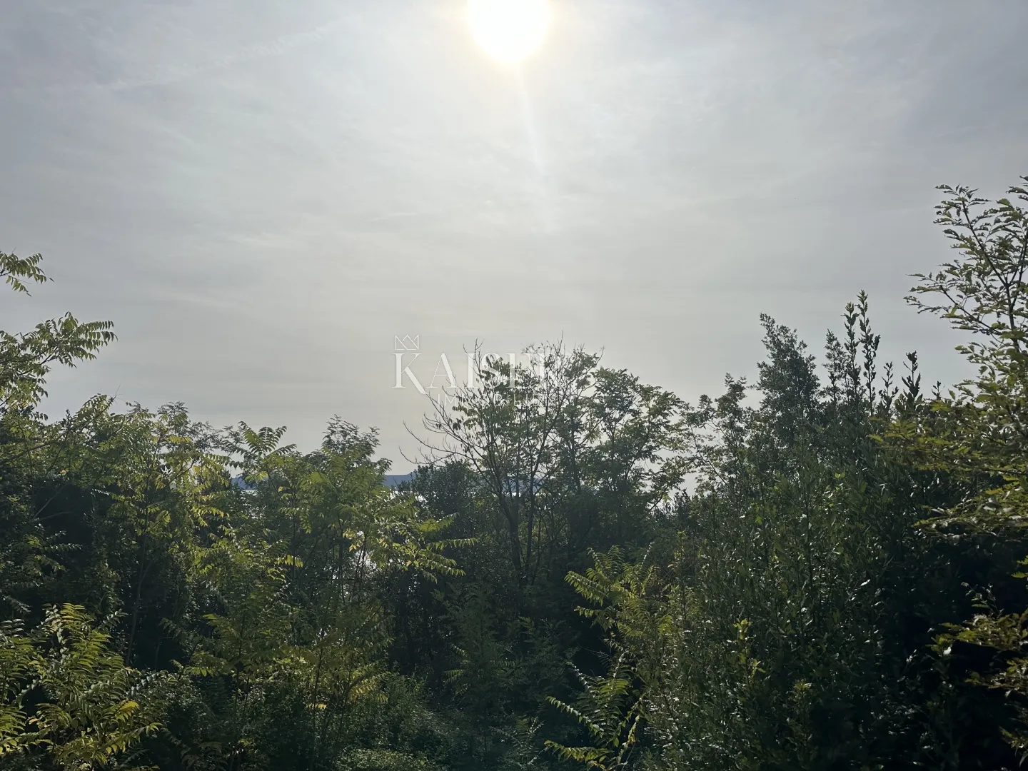 medveja - građevinsko zemljište 2.red do mora 6000 m2 - slika 5