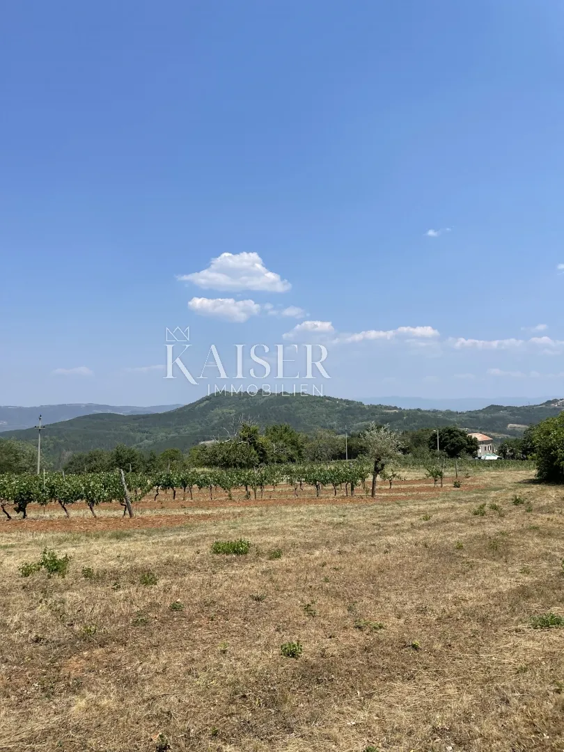 istra, okolica motovuna, zemljište s dozvolom za gradnju - slika 11