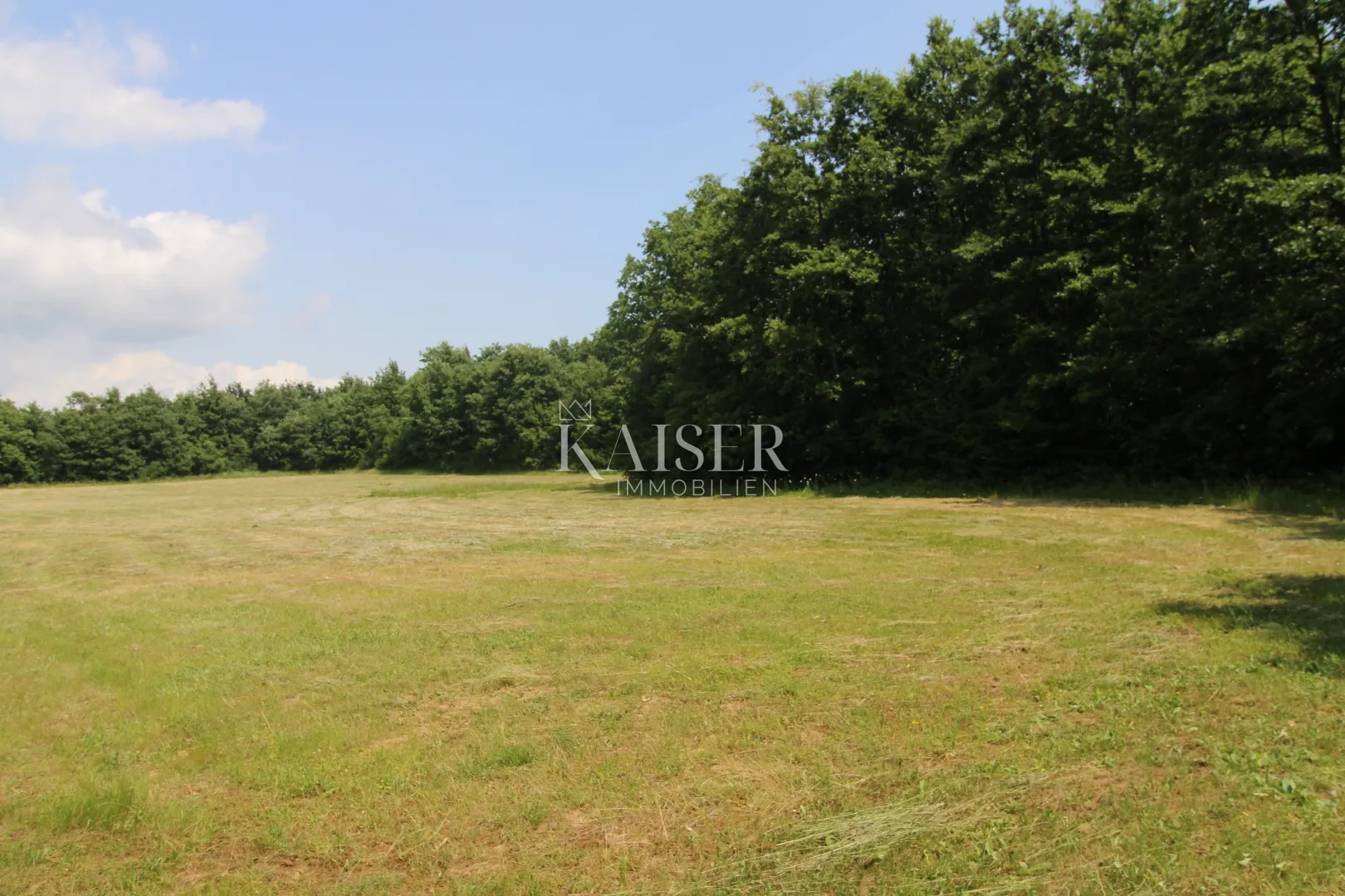 istra, labin- poljoprivredno zemljište 13.700m2 s šumom - slika 4