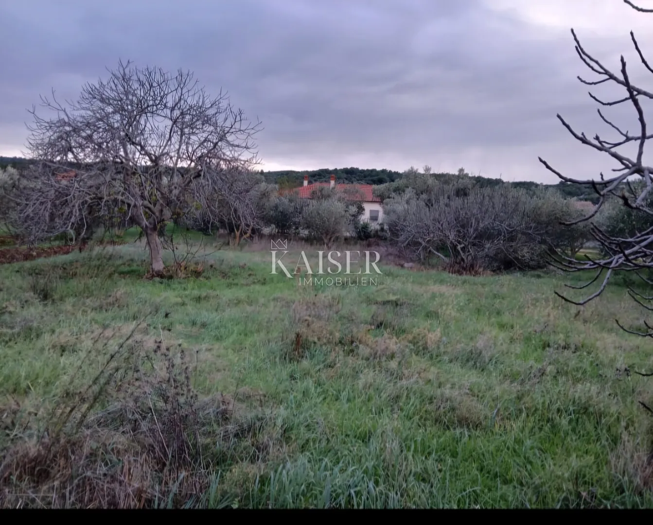 otok pašman- građevinsko zemljište 1. red do mora - slika 2