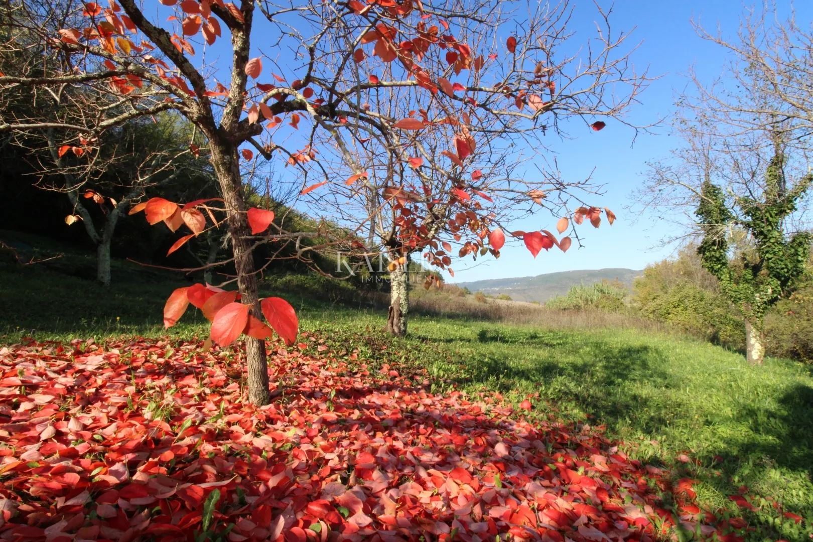 istra - motovun, građevinsko zemljište pogled motovun - slika 2