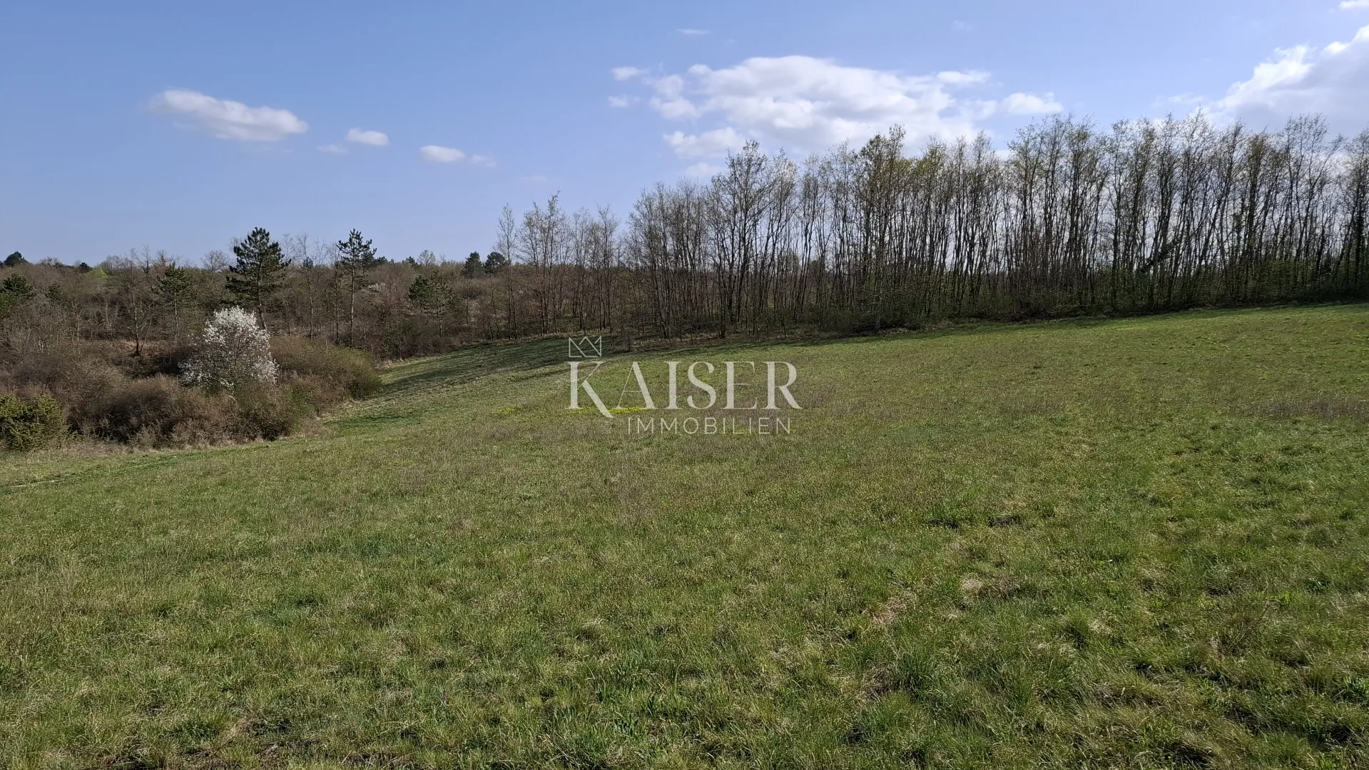 istra, pazin - poljoprivredno zemljište 72.560m2 - slika 4