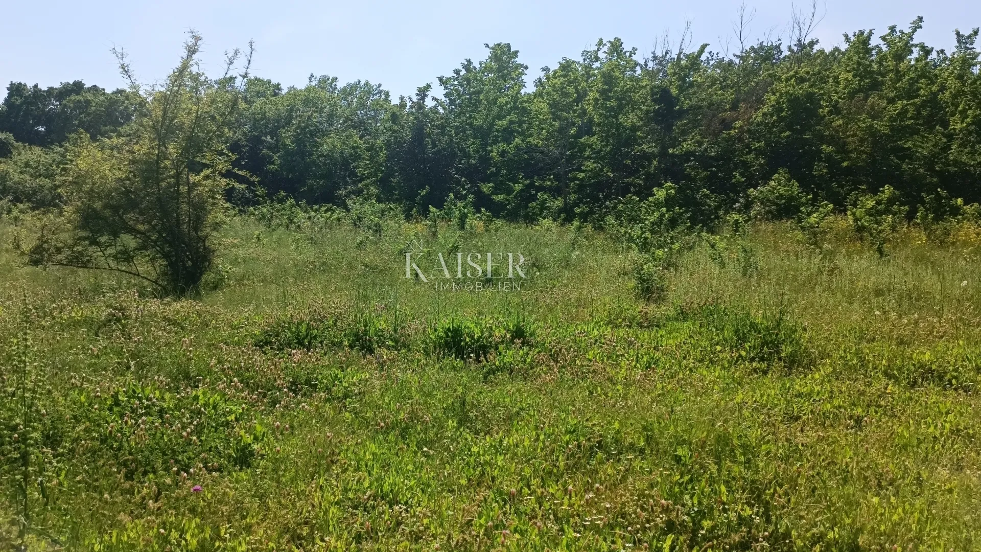 istra - barban - građevinsko zemljište s dozvolom, 1040 m2 - slika 3