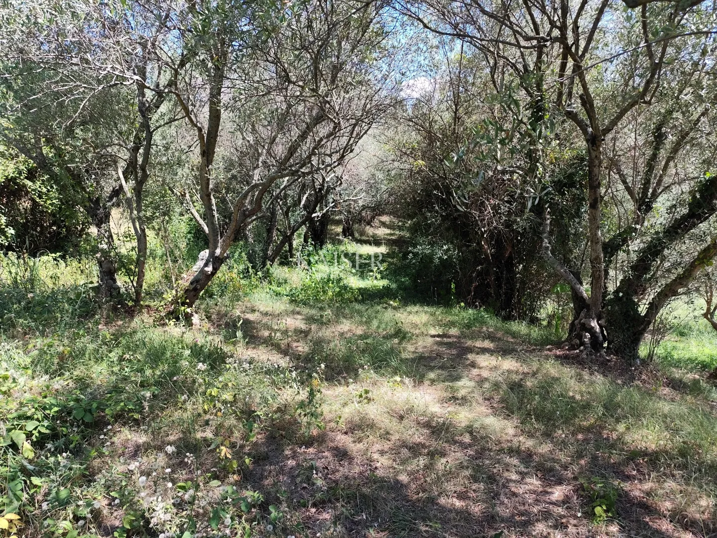 istra, buzet - starina s građevinskim zemljištem - slika 7