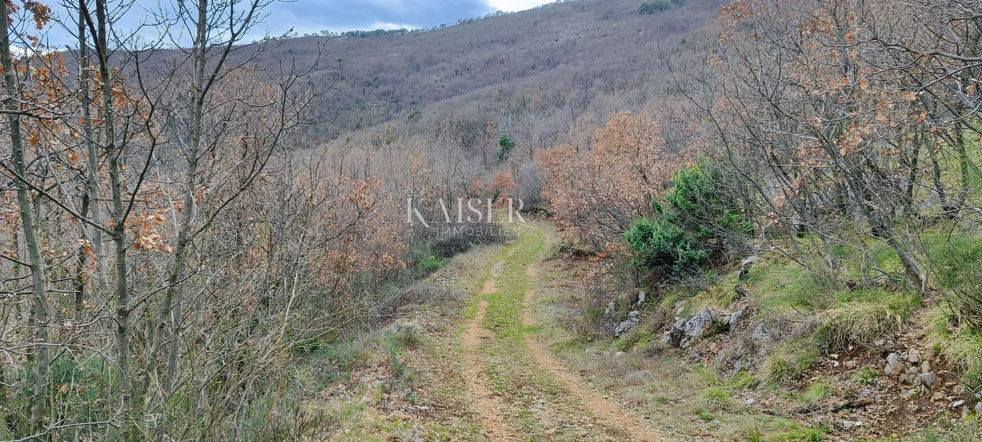brseč - poljoprivredno zemljište, 2450 m2 - slika 6