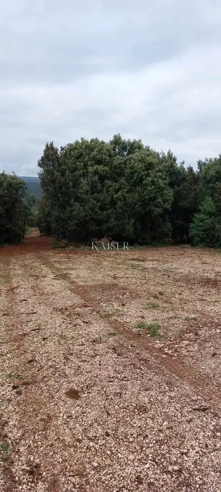 Otok Cres, Stivan, poljoprivredno zemljište 12.229 m2 - Stivan, Cres