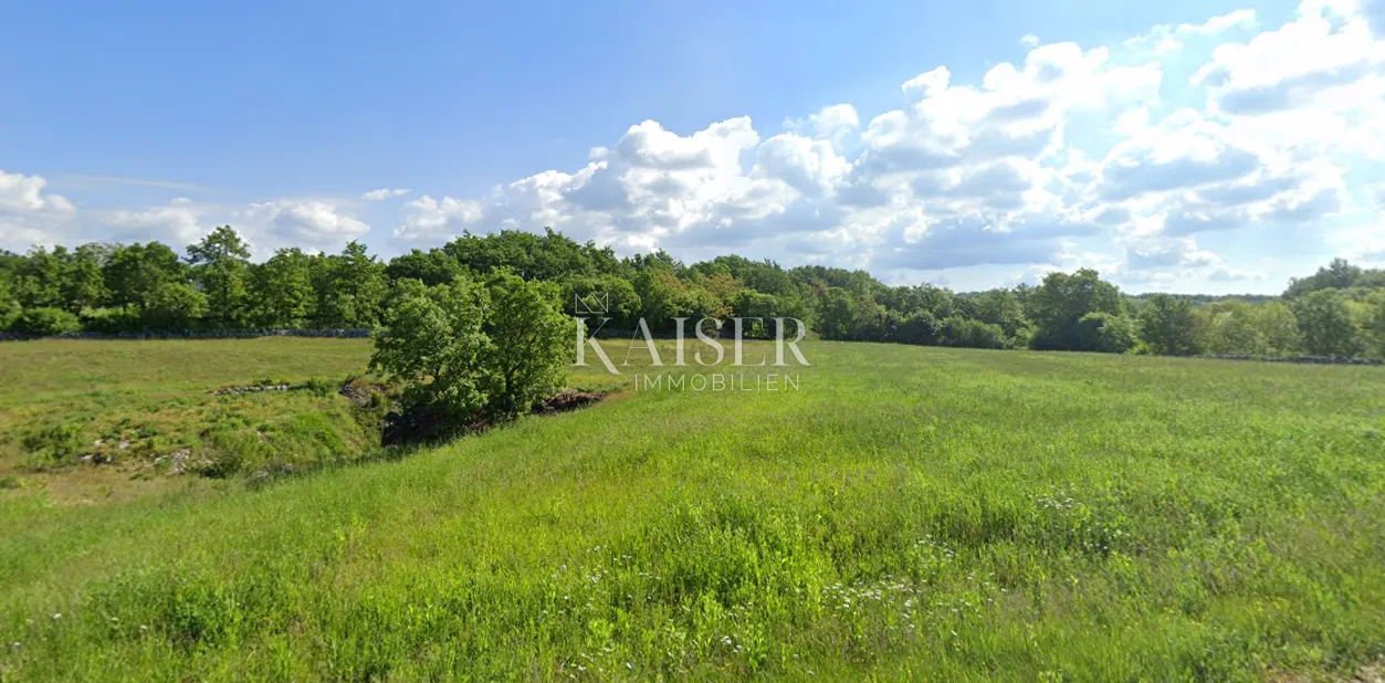 Istra, Sveti Petar u Šumi- poljoprivredno zemljište 10.000m2 blizu građevinske zone