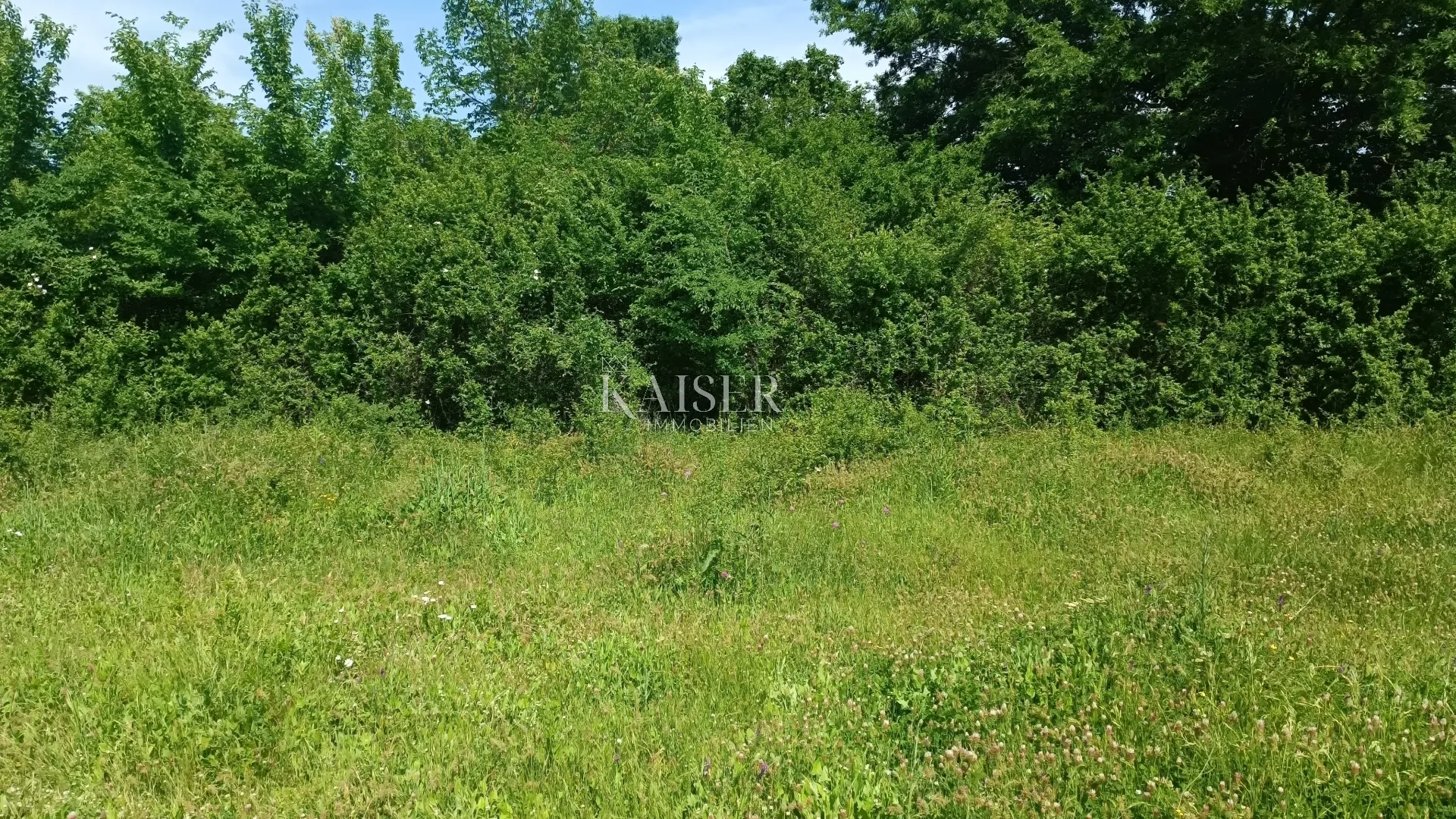 istra - barban - građevinsko zemljište s dozvolom, 1040 m2 - slika 2