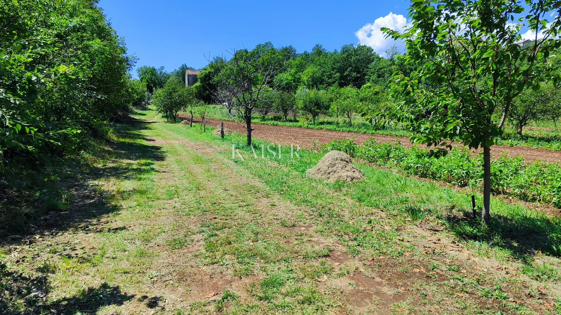 labin - imanje s kućom, 28.000m2 - slika 7