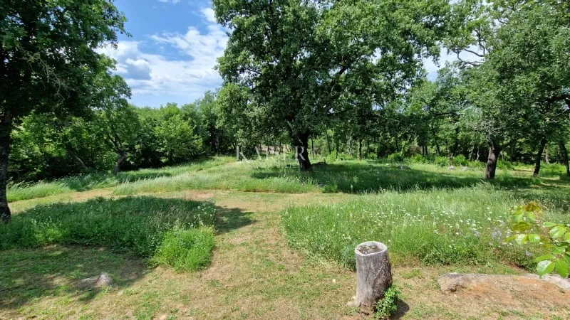 istra - lovreč, prilika kamena kuća sa okućnicom 7000 m2 - slika 10