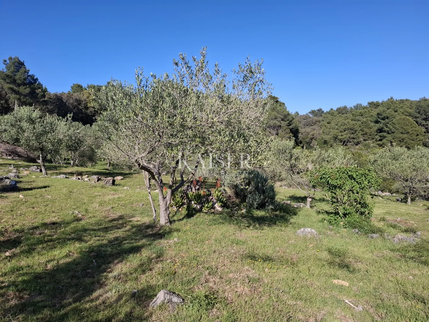 otok cres, punta križa, kuća 30 m2 sa 8.000 m2 terena - slika 3